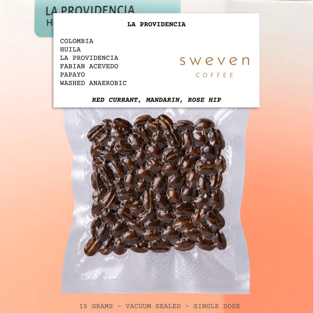 LA PROVIDENCIA-COLOMBIA-HUILA-LA PROVIDENCIA-FABIAN ACEVEDO-TRANSLUCENT-WASHED ANAEROBIC-ARABICA-PAPAYO-RED CURRANT, MANDARIN, ROSE HIP-SWEVEN COFFEE-ENGLAND