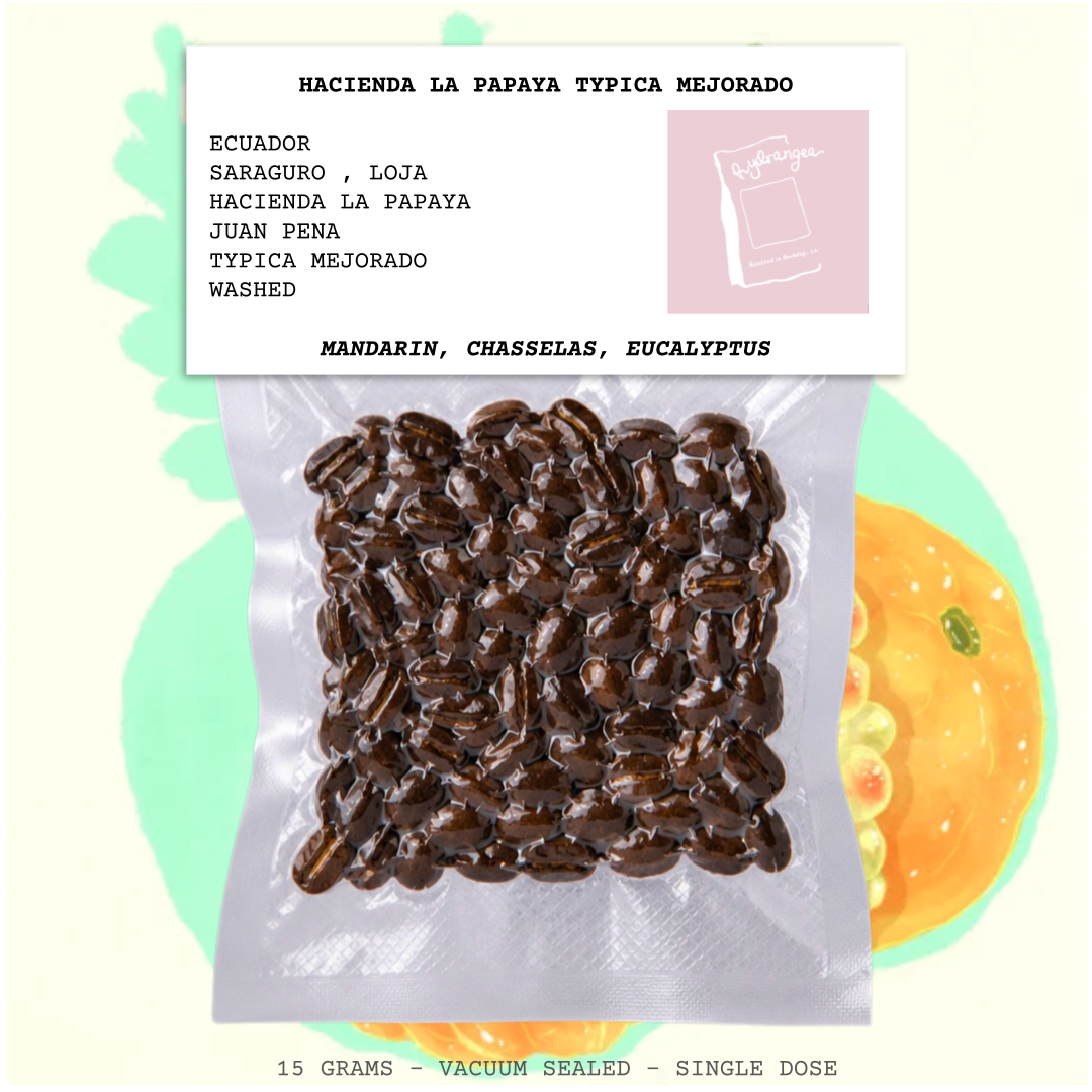 HACIENDA LA PAPAYA TYPICA MEJORADO-ECUADOR-SARAGURO-LOJA-HACIENDA LA PAPAYA-JUAN PENA-TRANSPARENT-WASHED-ARABICA-TYPICA MEJORADO-MANDARIN, CHASSELAS, EUCALYPTUS-HYDRANGEA-USA