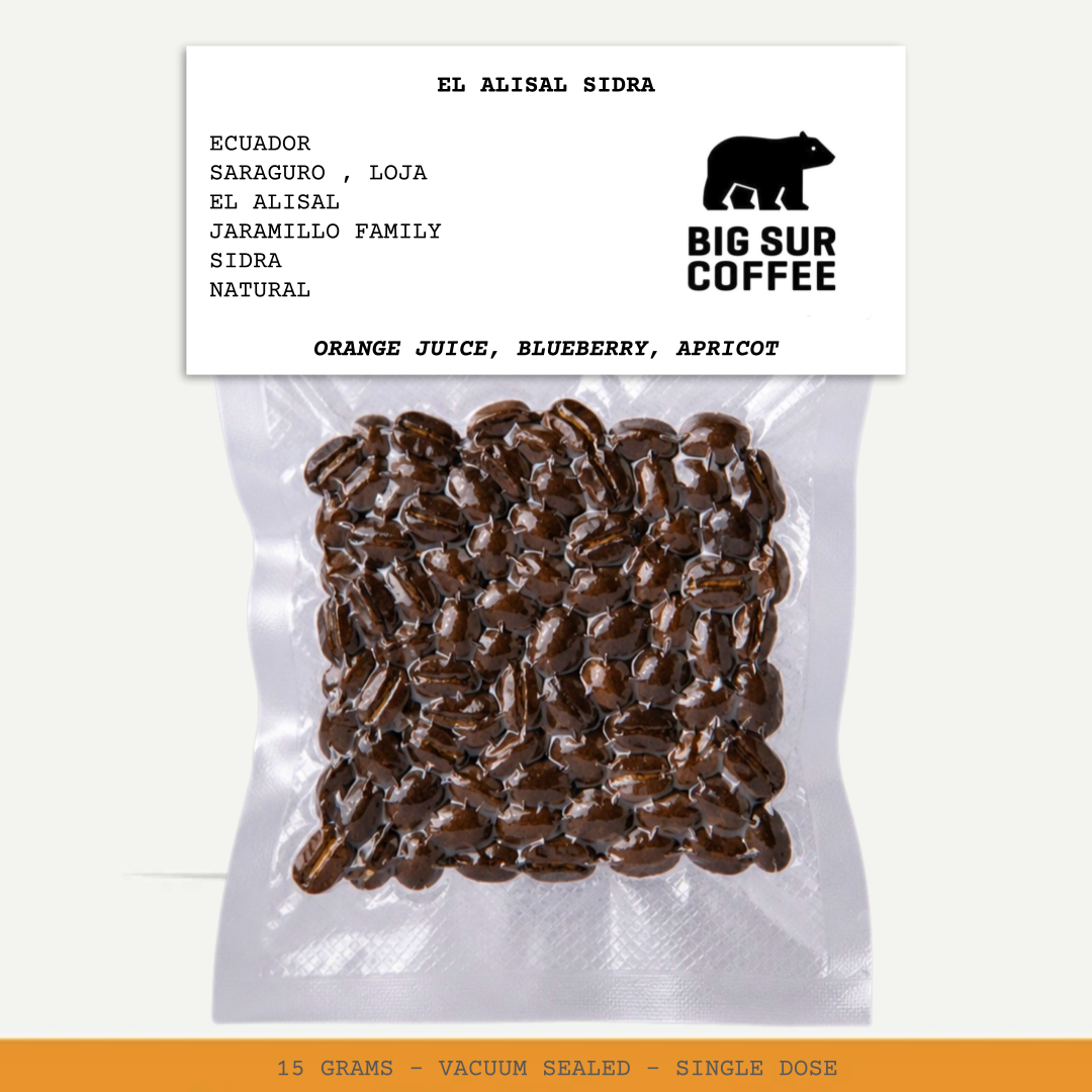 EL ALISAL SIDRA-ECUADOR-SARAGURO-LOJA-EL ALISAL-JARAMILLO FAMILY-TRANSLUCENT-NATURAL- ARABICA-SIDRA-ORANGE JUICE, BLUEBERRY, APRICOT- BIG SUR COFFEE-CHINA