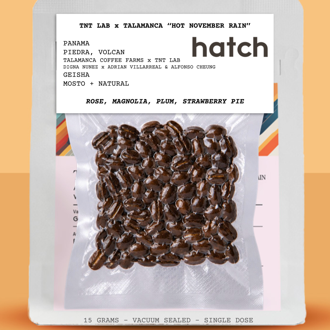 TNT LAB x TALAMANCA-PANAMA-PIEDRA-VOLCAN-TALAMANCA COFFEE FARMS-ADRIAN VILLAREAL-TNT COFFEE LAB-TRANSLUCENT-HOT NOVEMBER RAIN - NATURAL-ARABICA-GEISHA/GESHA-ROSE, MAGNOLIA, PLUM, STRAWBERRY PIE-HATCH CRAFTED-CANADA