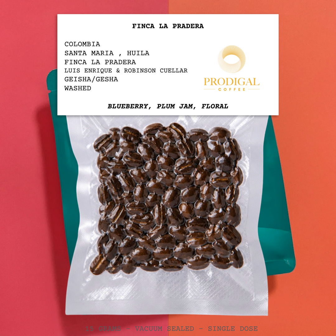FINCA LA PRADERA-COLOMBIA-SANTA MARIA-HUILA- FINCA LA PRADERA-LUIS ENRIQUE & ROBINSON CUELLAR-OPAQUE-WASHED-ARABICA-GEISHA/GESHA- BLUEBERRY, PLUM JAM, FLORAL-PRODIGAL-USA
