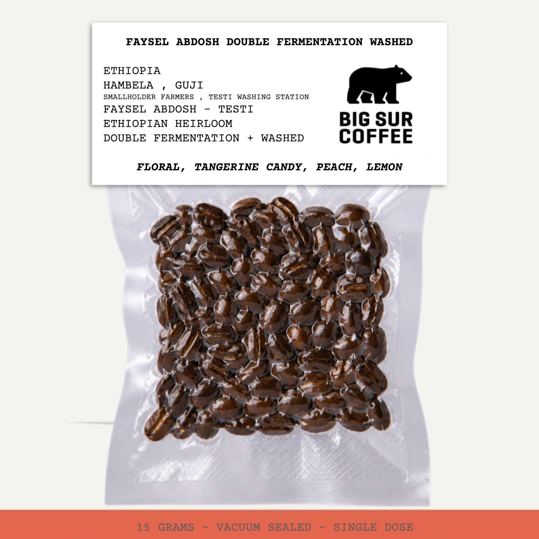FAYSEL ABDOSH DOUBLE FERMENTATION WASHED-ETHIOPIA-HAMBELA-GUJI-SMALLHOLDER FARMERS-FAYSEL ABDOSH - TESTI-TESTI WASHING STATION-TRANSLUCENT-DOUBLE FERMENTATION + WASHED-ARABICA-ETHIOPIAN HEIRLOOM-FLORAL, TANGERINE CANDY, PEACH, LEMON-BIG SUR COFFEE-CHINA