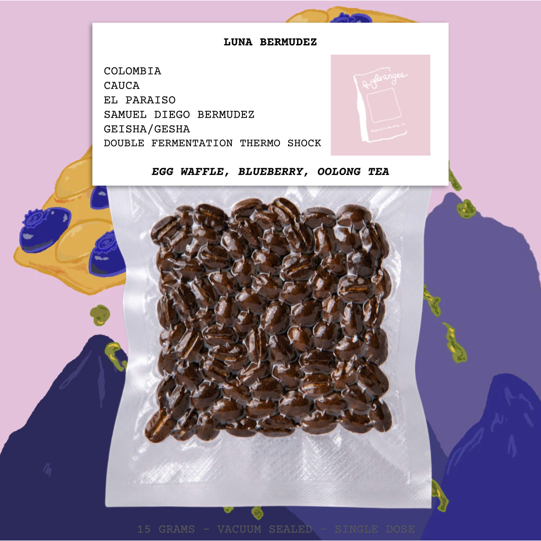 LUNA BERMUDEZ-COLOMBIA-CAUCA-EL PARAISO-SAMUEL DIEGO BERMUDEZ-OPAQUE-DBL FERM THRM SHK (LUNA PROFILE)-ARABICA-GEISHA/GESHA-EGG WAFFLE, BLUEBERRY, OOLONG TEA-HYDRANGEA-USA