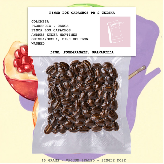 FINCA LOS CAPACHOS PB & GEISHA-COLOMBIA-FLORENCIA-CAUCA-FINCA LOS CAPACHOS-ANDRES EYDER MARTINEZ-TRANSPARENT-WASHED-ARABICA-GEISHA/GESHA, PINK BOURBON-Lime, Pomegranate, Granadilla-HYDRANGEA-USA