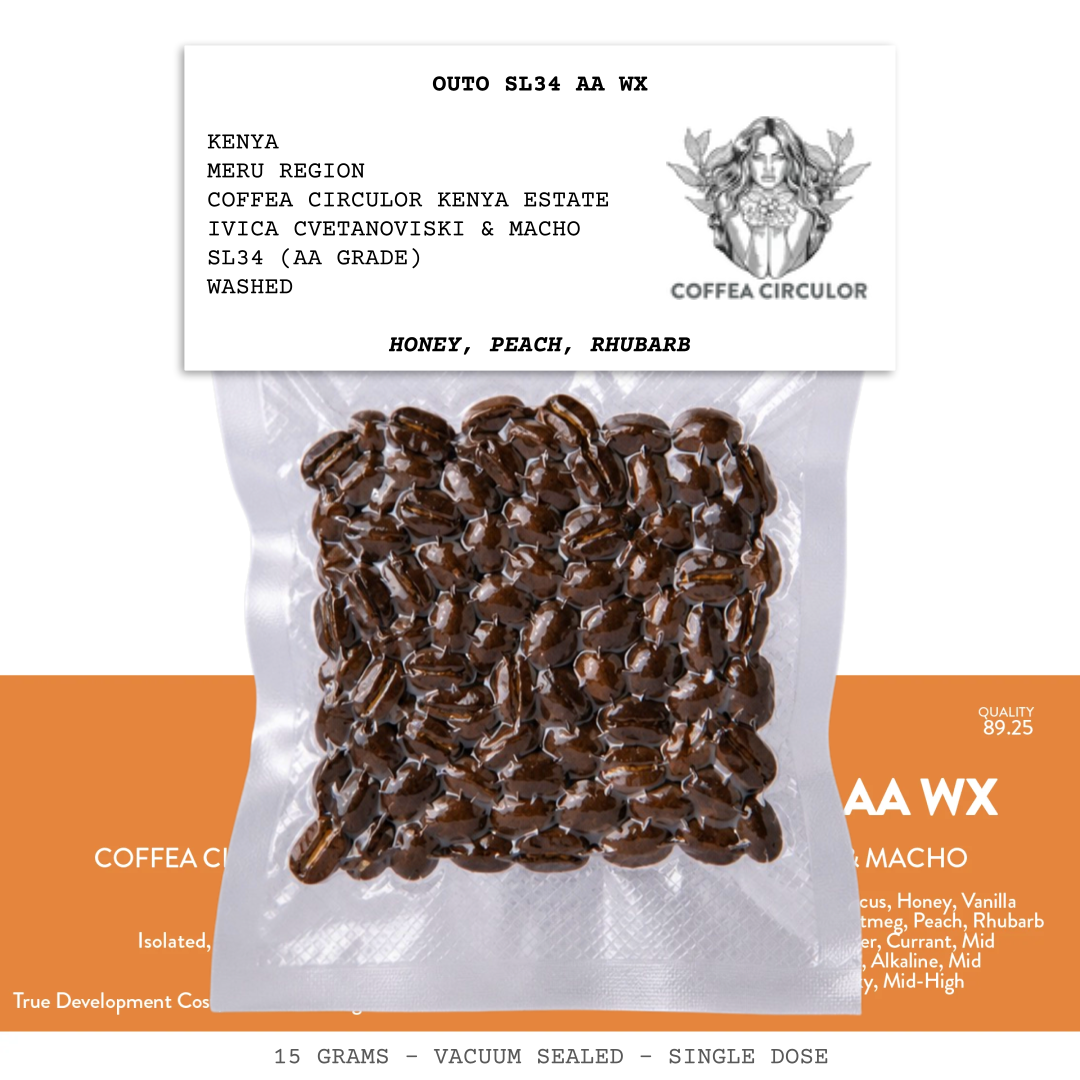 OUTO SL34 AA WX-KENYA-MERU REGION-COFFEA CIRCULOR KENYA ESTATE-IVICA CVETANOVISKI & MACHO-TRANSPARENT-WASHED-ARABICA-SL34-HONEY, PEACH, RHUBARB-COFFEA CIRCULOR-NORWAY